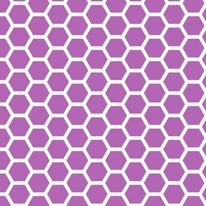 Hive - Purple