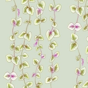 String of Hearts Pale Green