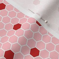 Smaller Scale Hexagon Tile Daisy Flowers in Red and Pink