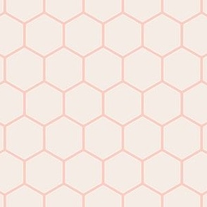 Honeycomb v2 Peach and Pastel