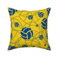 Volleyballs for Rebecca or blue and gold volleyball fans