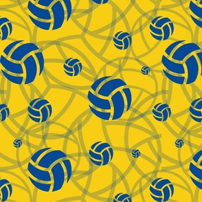 Volleyballs for Rebecca or blue and gold volleyball fans