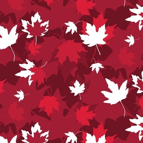 Canada Day - Canadian Maple Leaves (Medium)