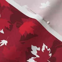 Canada Day - Canadian Maple Leaves (Small)