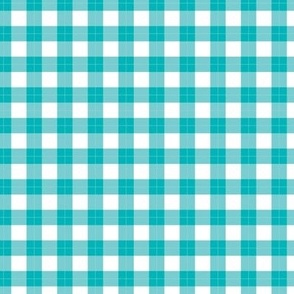 Preppy aqua and white traditional vintage gingham with white plaid lines