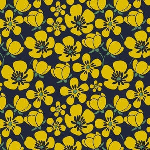 Buttercups (yellow and blue)