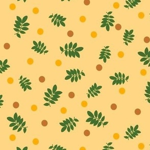 Acacia  leaves and dots