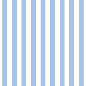 1" stripes windsurfer blue and cream