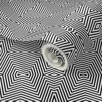 Op Art Hysterical Order