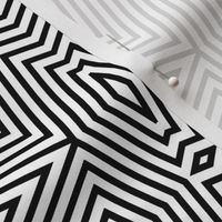 Op Art Hysterical Order