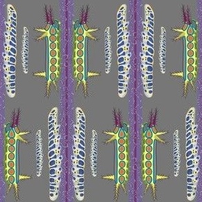 2x6-Inch Repeat of Vibrant Patterns from Caterpillars, with a Starfish Stripe