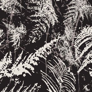 Dark Fern Botanical, Black and White, Coastal Minimalist Nature