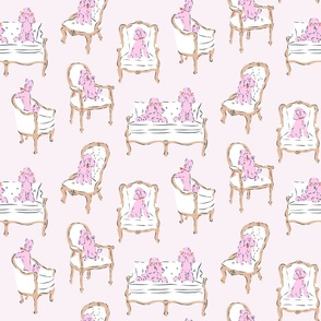 Pink Poodles in White French Chairs