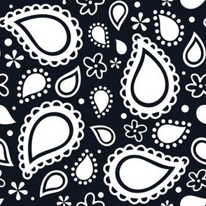 Medium Scale Playful Paisley Bandana White on Black