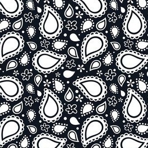 Small Scale Playful Paisley Bandana White on Black