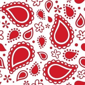 Medium Scale Playful Paisley Bandana Red on White