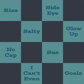Slang Checkerboard in Teal and Navy