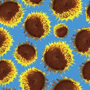 Sunflower Dreams 24x24