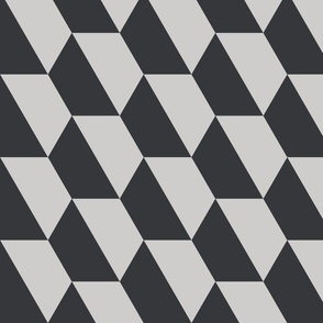 Hexagon Trapezoid Gray and Black