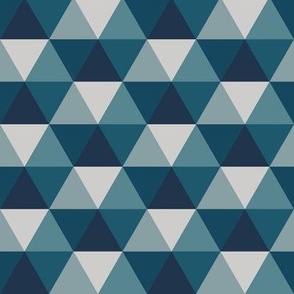 Triangle and Hexagon Blue and gray Multicolored 