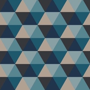 Triangle and Hexagon Blue and tan Multicolored