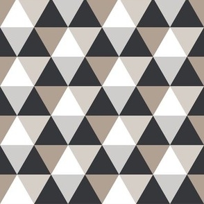 Triangle and Hexagon Black, beige, white, gray Multicolored