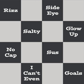 Slang Checkerboard in Gray and Black