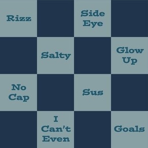 Slang Checkerboard in Blue-gray and Navy