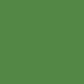 Dark Rose Leaf Green Solid #528744