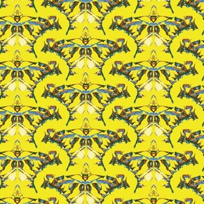 Butterfly Kaleidoscope 24x24