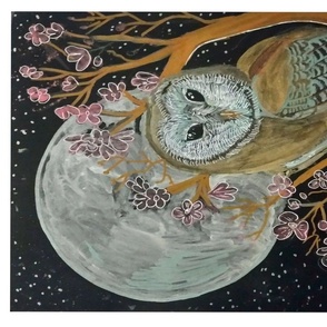 Barn Owl in Moonlight