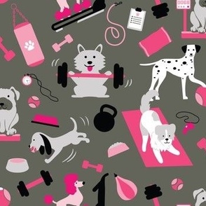 Doggie Gym Pink 