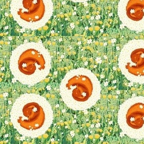 Squirrels in a field of flowers