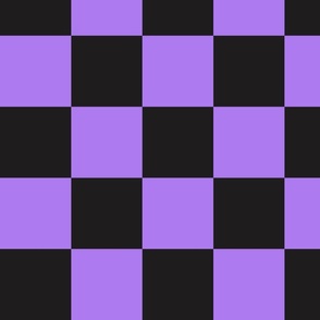 Skateboarding Ghosts Purple Checker Coordionate - XL Scale