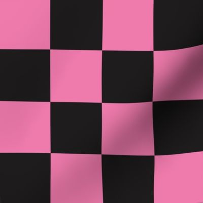 Skateboarding Ghosts Pink Checker Coordinate - Large Scale