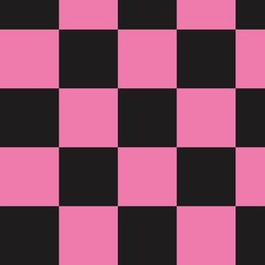 Skateboarding Ghosts Pink Checker Coordinate - XL Scale
