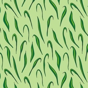 Botanical Leaves Green Background