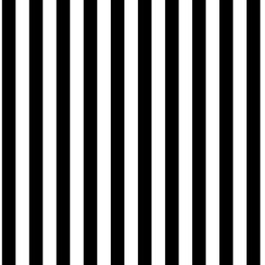 Black and White Stripes