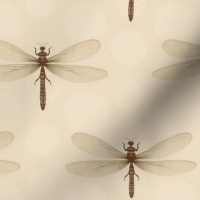 Beige Dragonflies