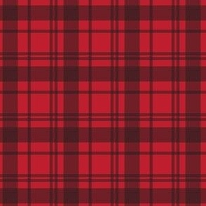 Red and Black Gingham Plaid
