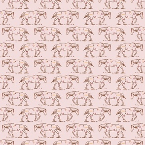 Indian Pony on Light Pink 4” repeat