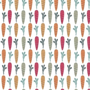 Rows of Carrots // Orange, Pink, Yellow, Green