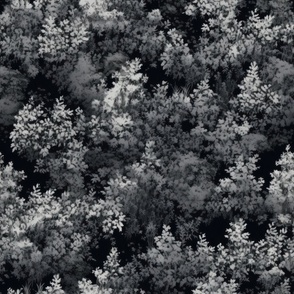 Monochrome Black Grey Tree Tops  ATL_1077