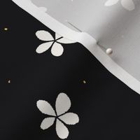 Delicate Elegance: Tiny White Flower. Black background