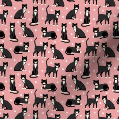 Tuxedo Cats Pink Small Scale