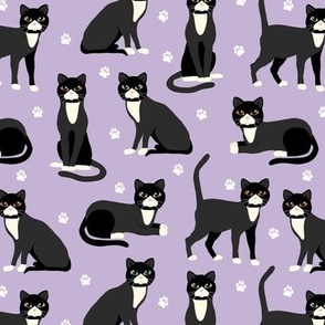 Tuxedo Cats Purple
