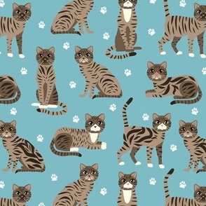 Tabby Cats Blue