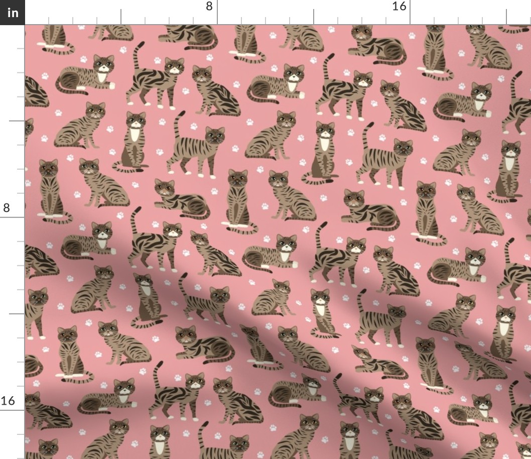 Tabby Cats Pink