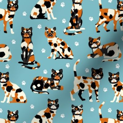 Calico Cats Blue