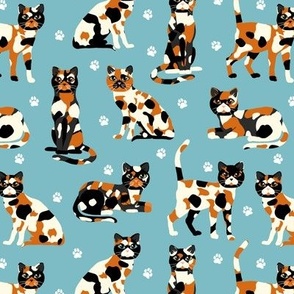 Calico Cats Blue